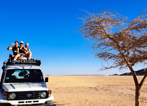 Super Safari