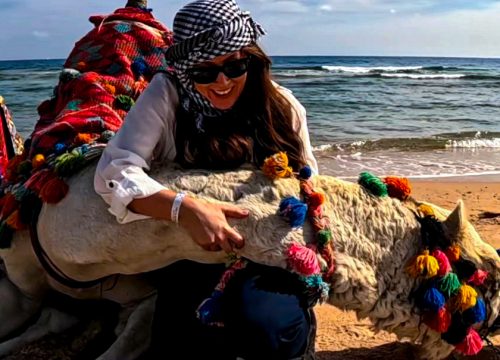 Kamele Reiten am Meer und in der Wüste
